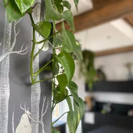 Les Jardins De La Cite 60m2 Et Parking Gratuit Apartment