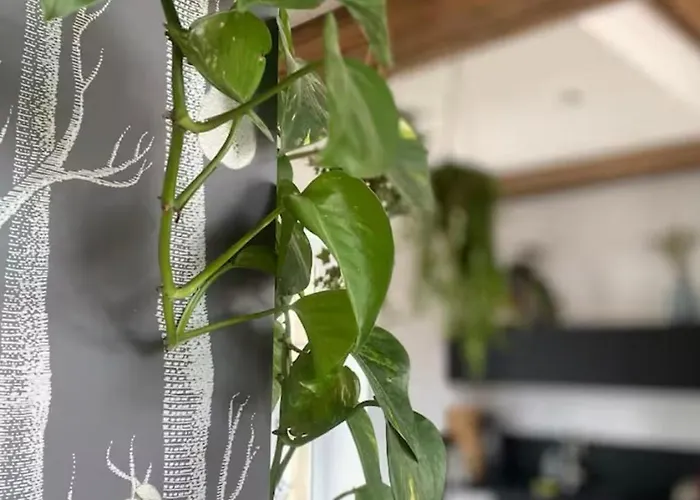 Les Jardins De La Cité Apartamento